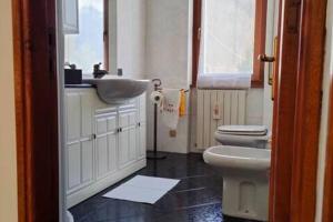 Il nido dei cigni