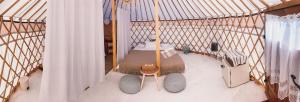 Glamping Iurte Mongole Spiritul Zimbrului