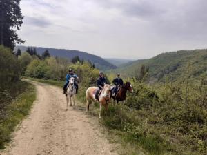 B&B / Chambres d'hotes L'Escapade de JOS gite equestre : photos des chambres