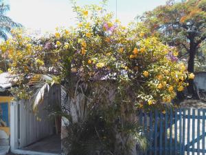 Chez Marine Cazinha na Aldeia