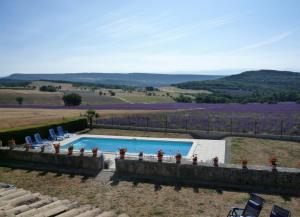 Maisons de vacances La Ferme l'Etang : photos des chambres