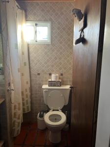 Departamento Pellegrini