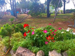 TATA Y TOTTI Playa & Verde