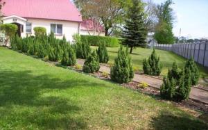 Agroturystyka Pod Brzozami