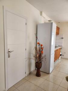 APARTAMENTO ÁTICO EN GÜÍMAR