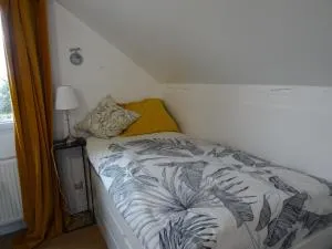 Maison d'hôtes les roses trémières - 茹伊昂若萨