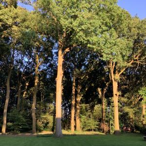 Vakantiewoningeikenhof