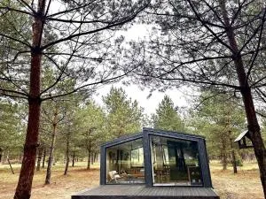 100 Drzew - Leśny Klimat Mazur - Targowo