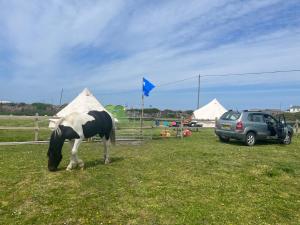 Gwens Garden bell tent
