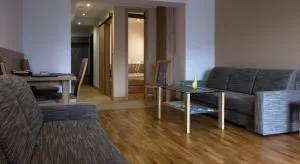 Apartament Wiślany Sen - Wisła