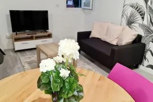 Appartement très lumineux et calme. - 塞夫朗