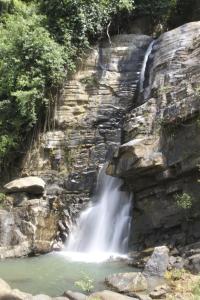 Ashburnham Estate-98 Acre Tea Estate with Private Waterfalls