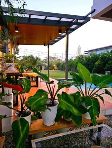 Obra Maestro Private Resort