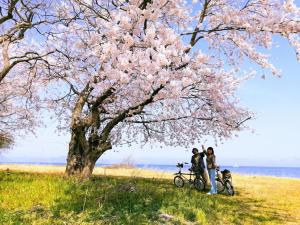 静かに過ごす古民家ステイ Staying quietly in renovated house