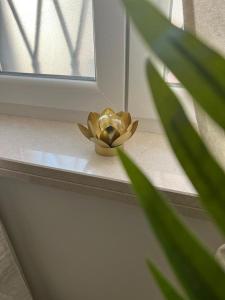 Fior di Loto Suite - Antonelli