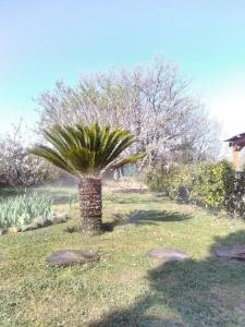 Chalets LES GORGES DU VERDON chalet : photos des chambres