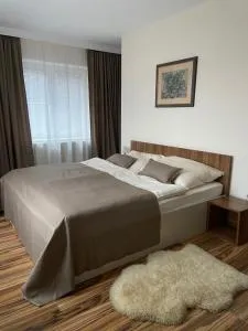 Sobe Djurdjevic - Baziaş