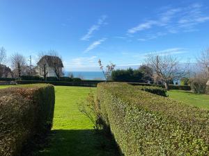 Appartements Studio cosy et terrasse-jardin superbe vue mer : Appartement 1 Chambre