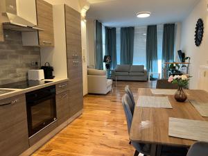 Design europarlament apartment with private terrace