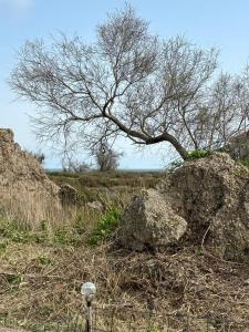 Maisons de vacances La DAURADELLE : photos des chambres