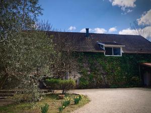 Appartements Le Petit Bourdieu - Sanglier : photos des chambres
