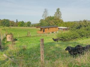 Chalets Roulotte toute equipee : photos des chambres