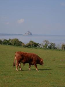 Maisons de vacances Gite la Mer, a la campagne en Normandie, proche du Mont St Michel : photos des chambres