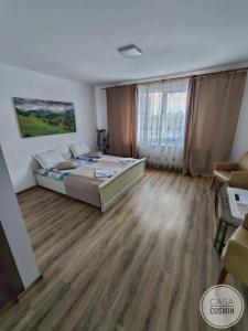 Casa Cosmin Cincu