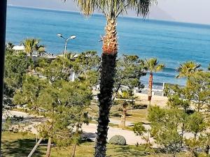 Vale House Holiday Apartment