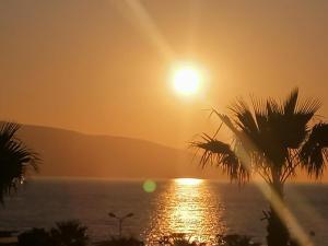 Vale House Holiday Apartment