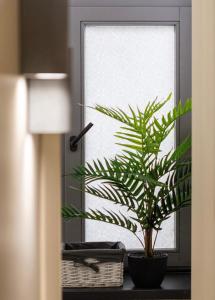 Vidfort Шпитальна