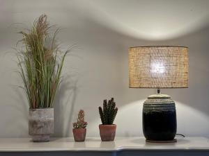 Le petit Dieppois, F2 lumineux et spacieux en centre ville