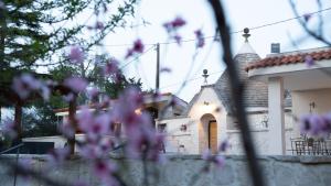Trulli Magnolia