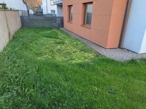 Apartament z ogrodem