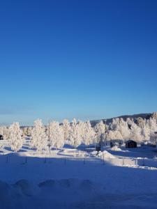 Schöne Stuga unmittelbar am Ammerån gelegen