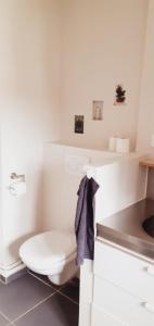 Appartements Les 3 Mesanges : photos des chambres