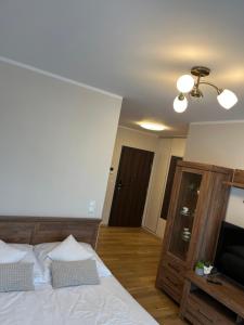 Apartament Garbary 234