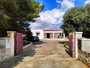 La Piccola Pineta, Capitolo - Faccia di Trippa