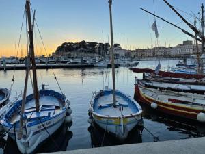 Appartements Tres bel appartement, port Sanary, : photos des chambres