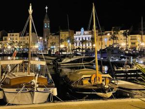 Appartements Tres bel appartement, port Sanary, : photos des chambres