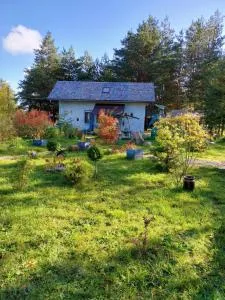 Midgard - Węgliniec