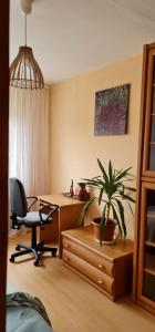 Apartament rustykalny