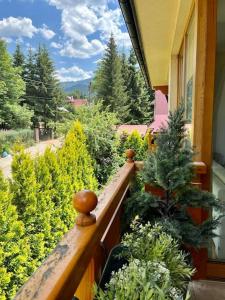 Apartament Harmony Zakopane