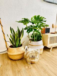 Caparica Rooftop Beach Apartment