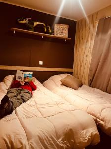 Campings Mobil-home COSY clim&tv-3 Chambres : photos des chambres