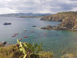 Maisons de vacances Le Casteil entre mer et montagne (4 a 10 pers) : photos des chambres