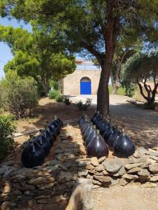 Maisons de vacances Le Casteil entre mer et montagne (4 a 10 pers) : photos des chambres