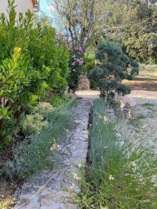 Villas Charming, chic, secluded villa within walking distance from Lorgues : photos des chambres