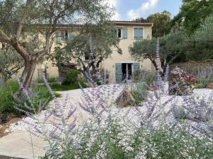 Villas Charming, chic, secluded villa within walking distance from Lorgues : photos des chambres