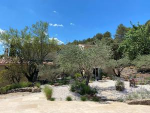 Villas Charming, chic, secluded villa within walking distance from Lorgues : photos des chambres